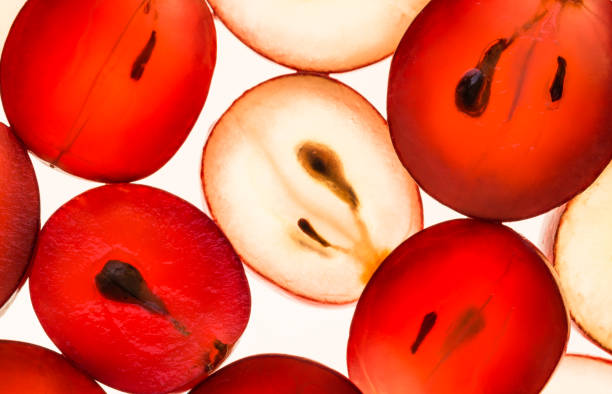 Pépins de raisin par transparence. Eco responsable. Alchimea Paris. Huile pépins de raisin Bio